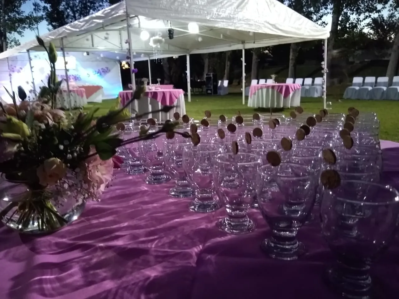 carpas mm evento al aire libre